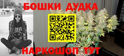 крисы Малоярославец