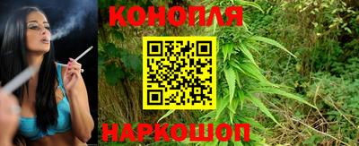 крисы Малоярославец